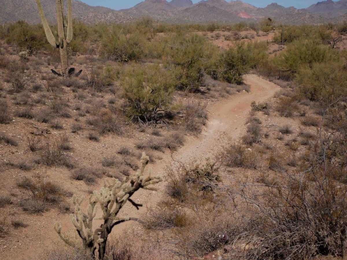 A9416 trail photo