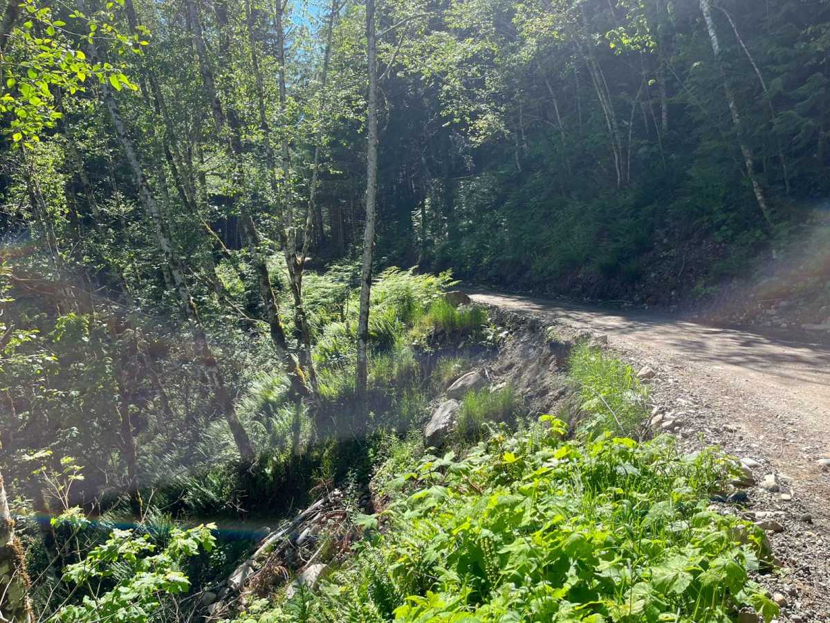Green Mountain photo 4