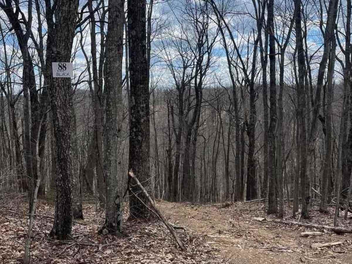 Trail 88 photo 4