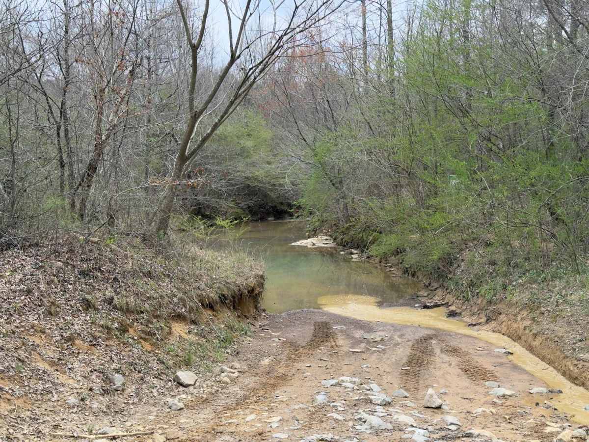 Creek Loop photo 3
