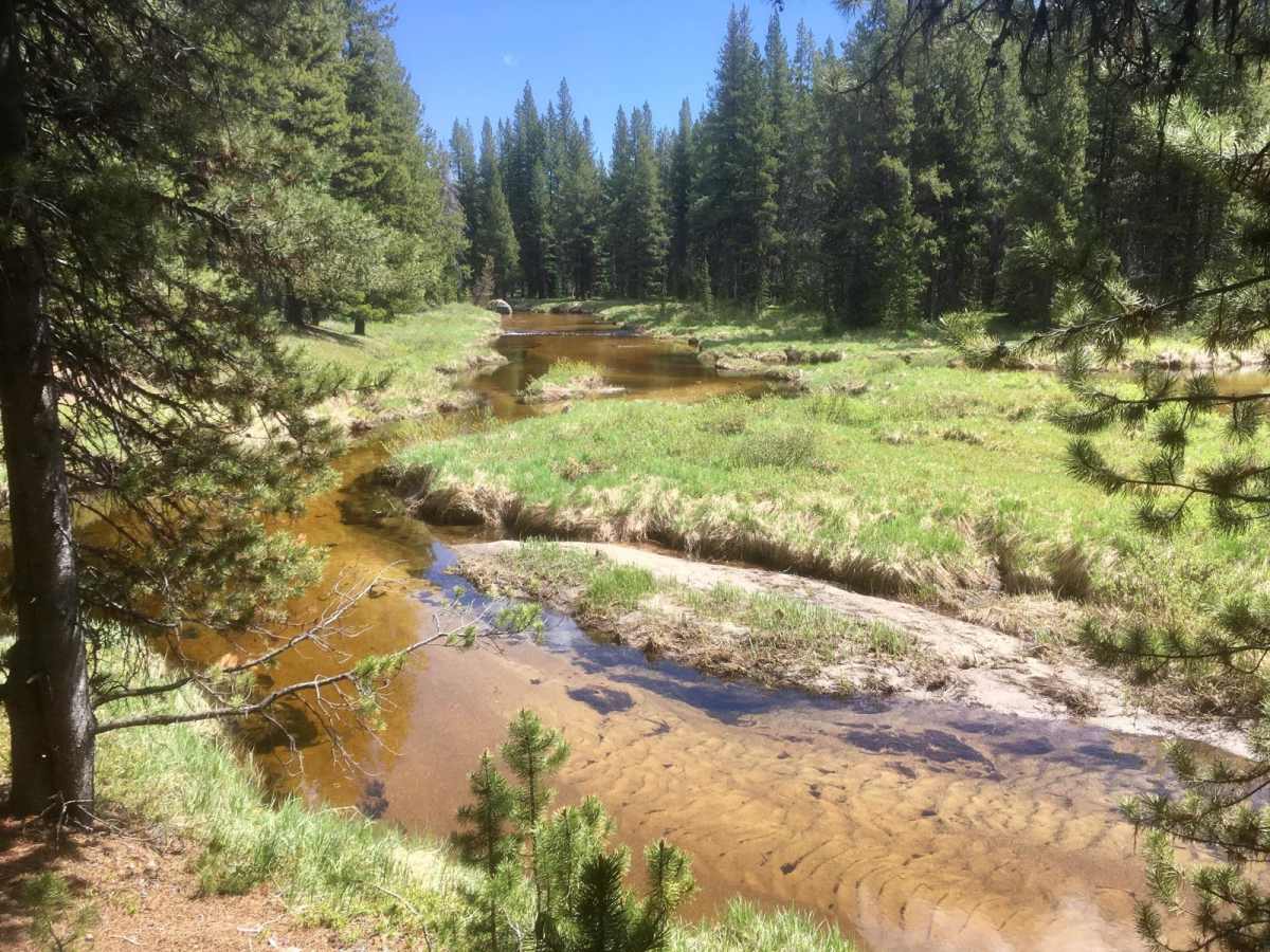 West Fork Road trail photo