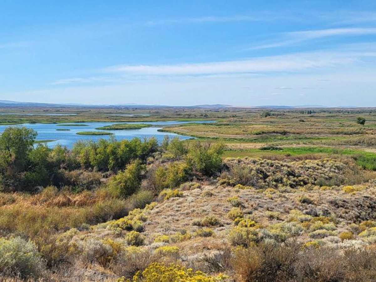Sand Dunes Site | Off-Road Trail Maps, Difficulty, Trail Status | onX ...