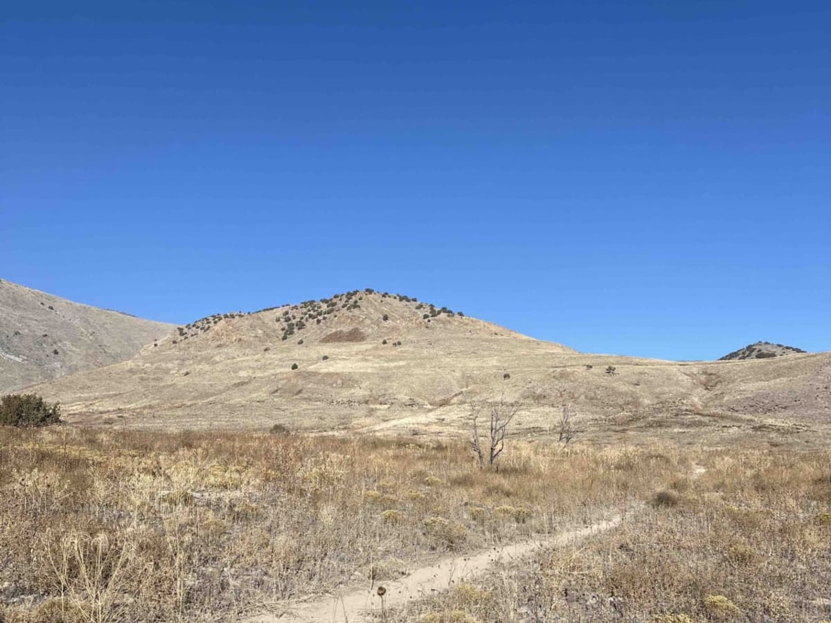 Miner trail photo