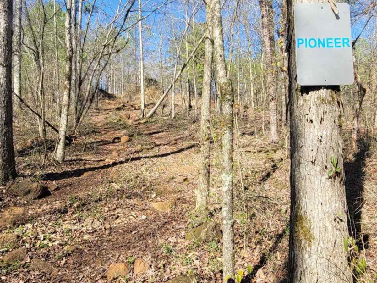 Pioneer trail photo