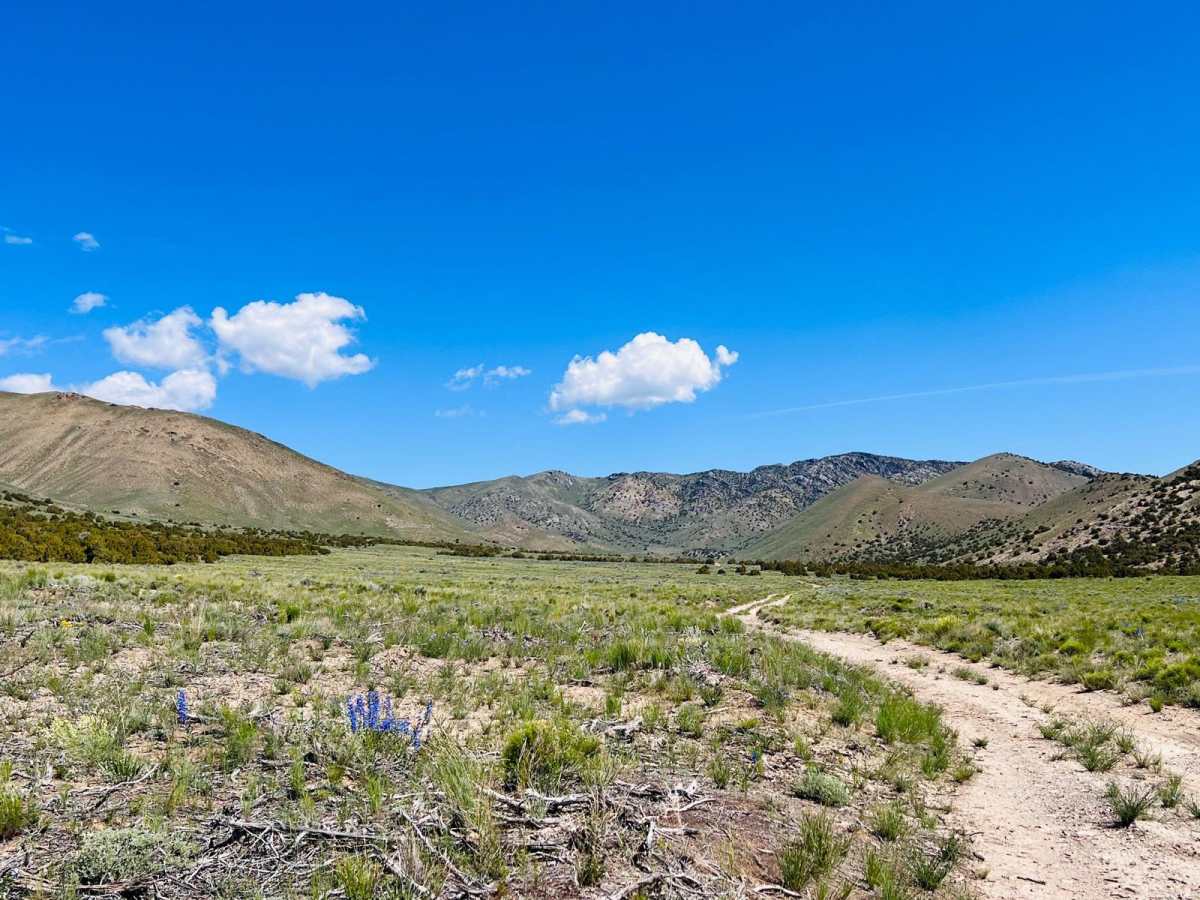 Arco Hills Road trail photo