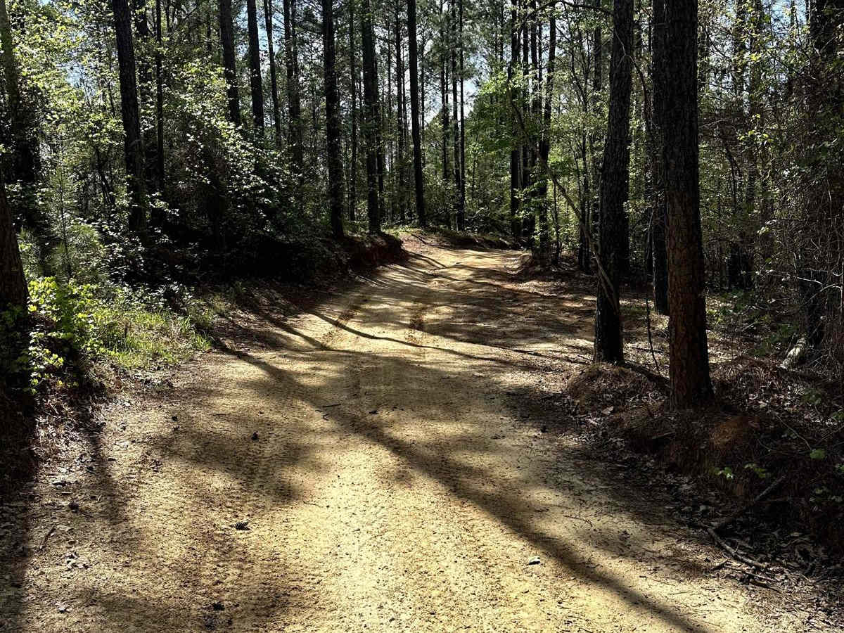 Trail 23 photo 5