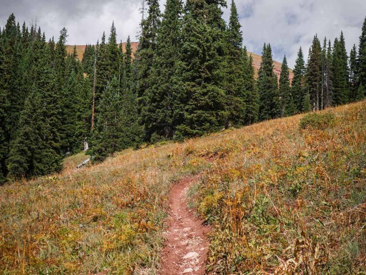 Hunters Creek Trail photo 6