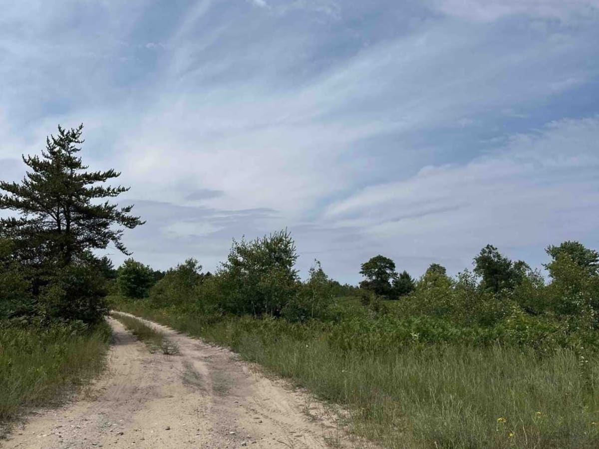 Little Fox River trail photo