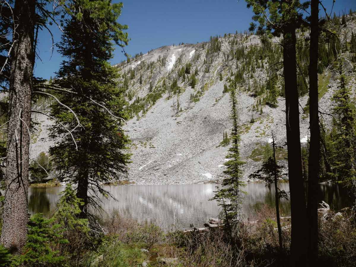 Ditch Creek photo 4