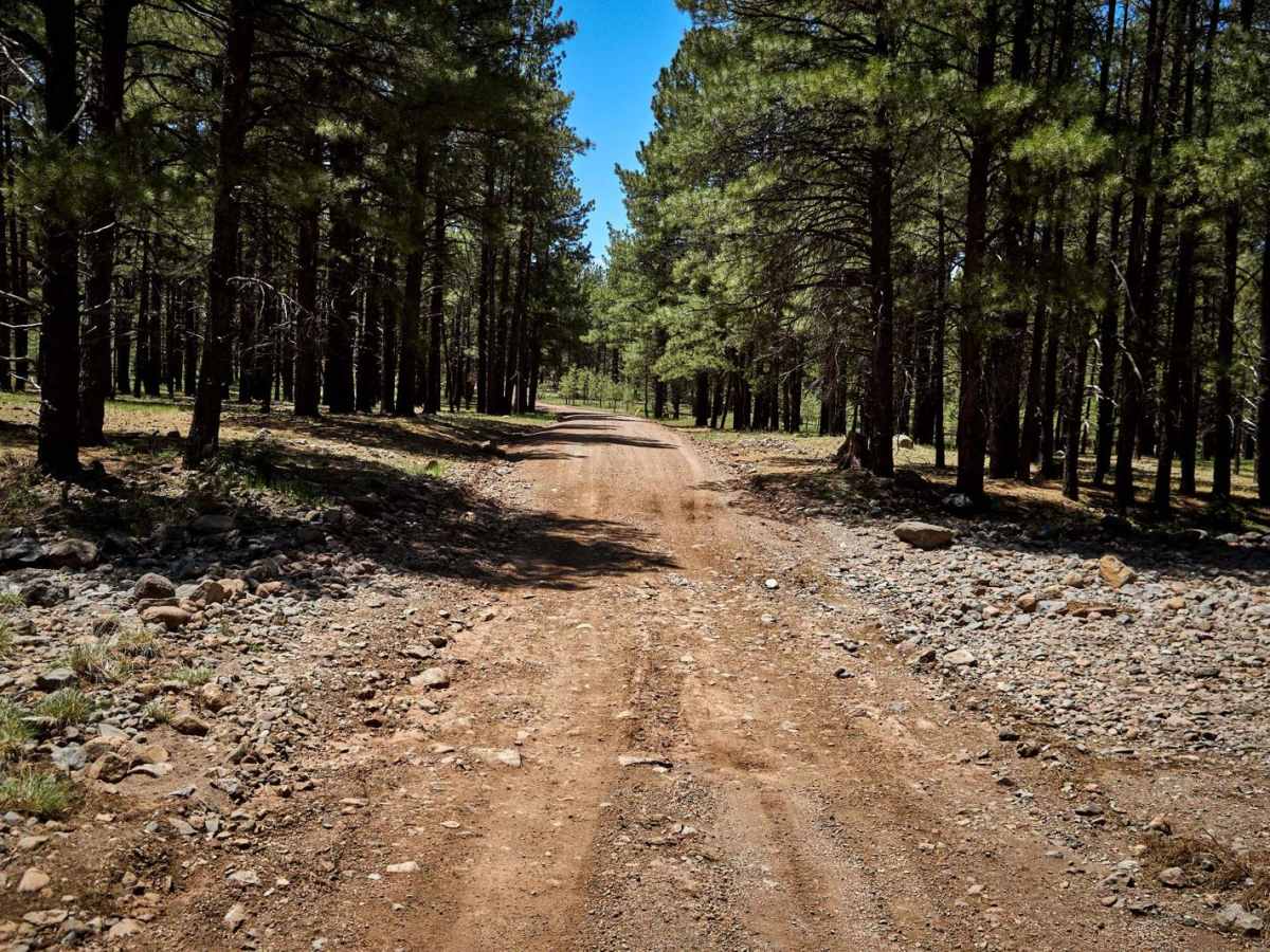 Loop Road / 108 South Section trail photo