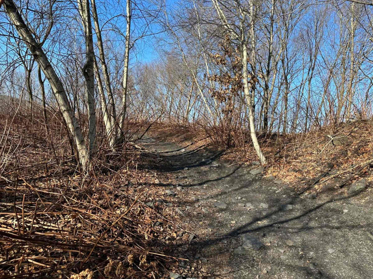 Locust Gap 59 photo 2