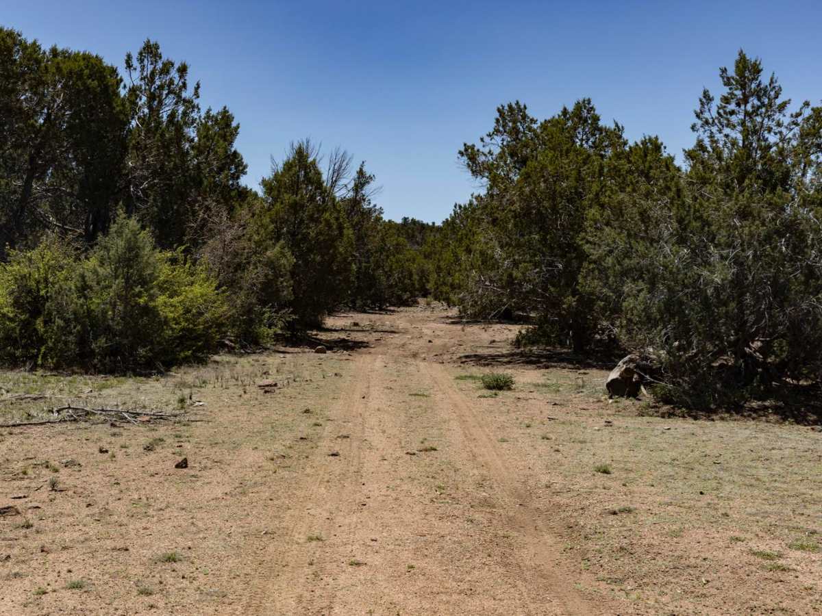 Telephone Line trail photo