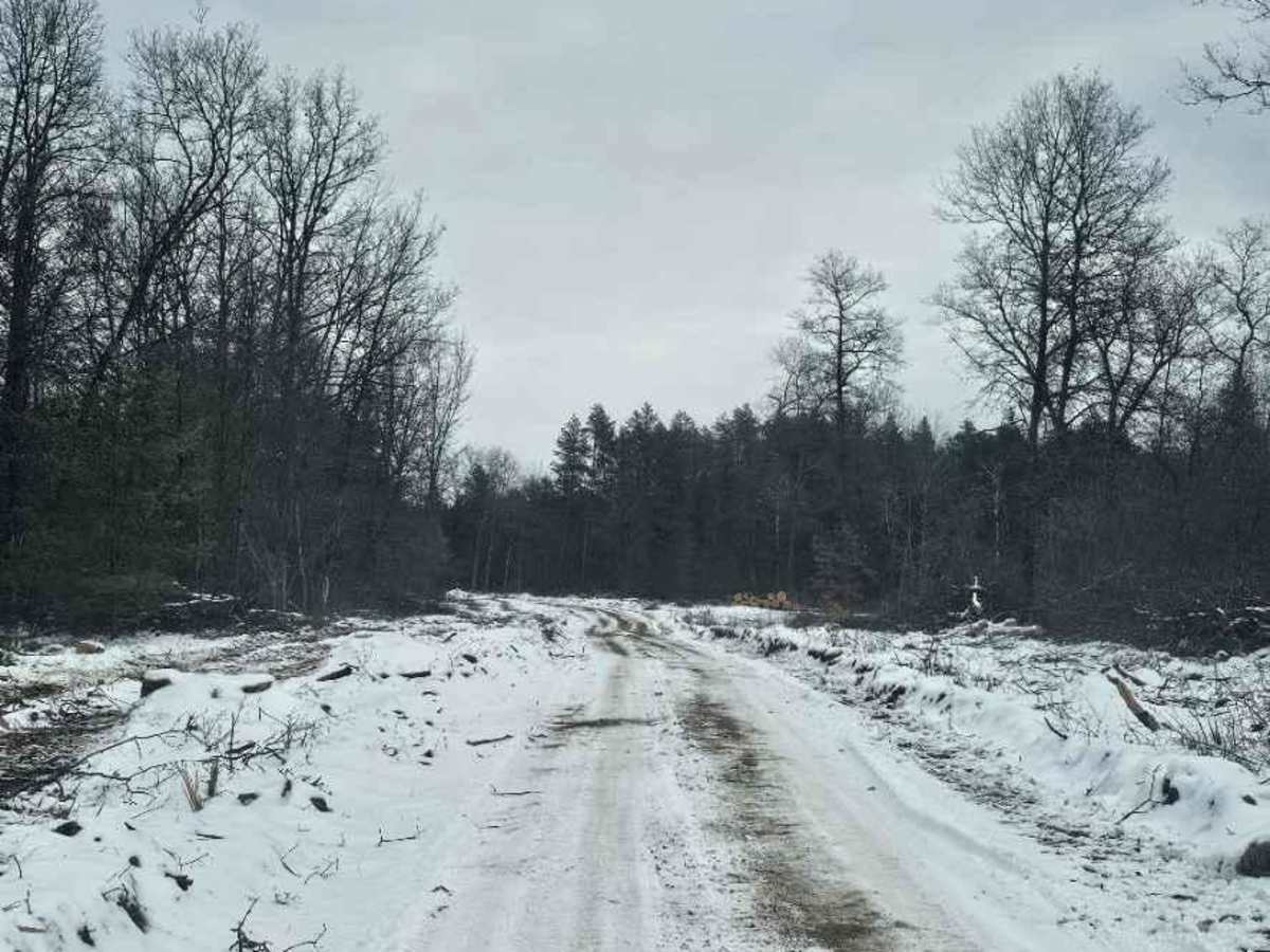 Gladwin ORV Route photo 4