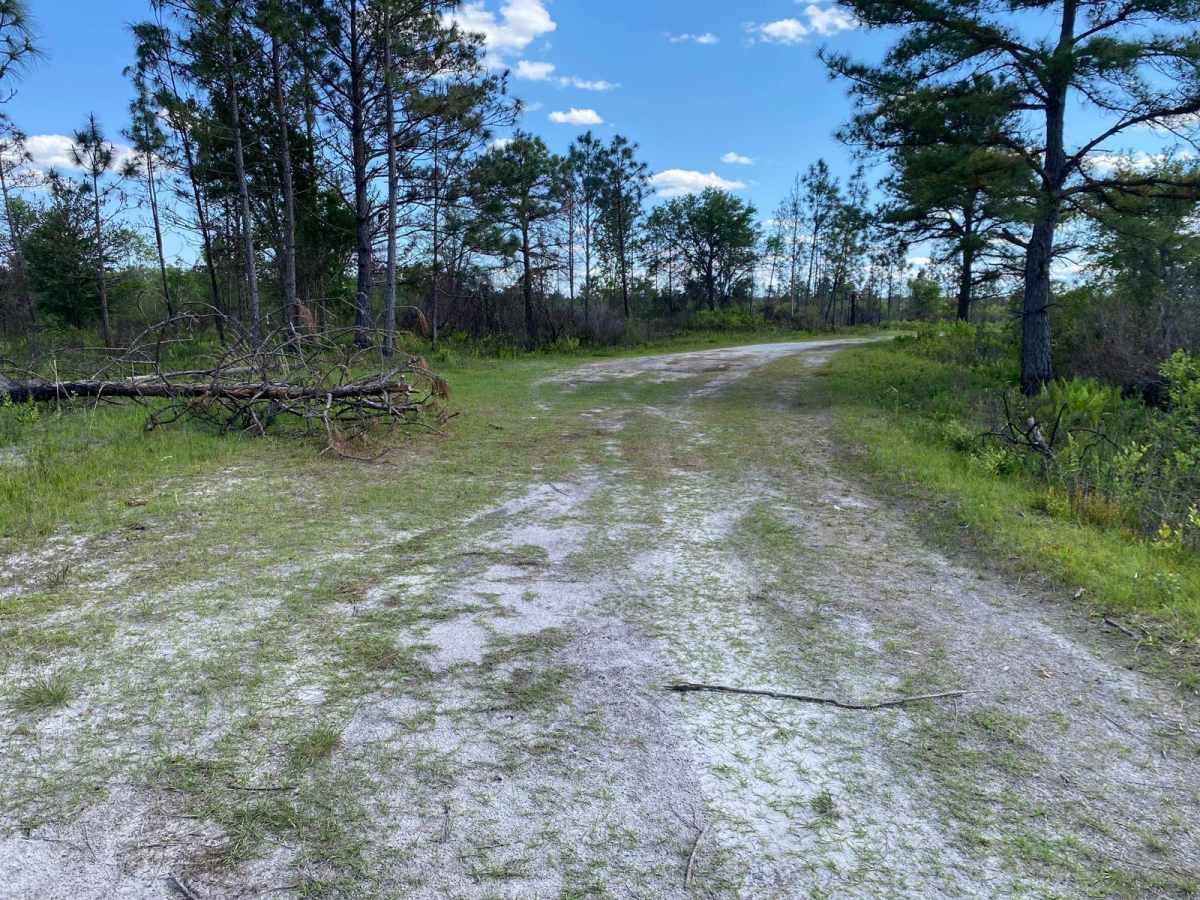 Road 1 photo 6