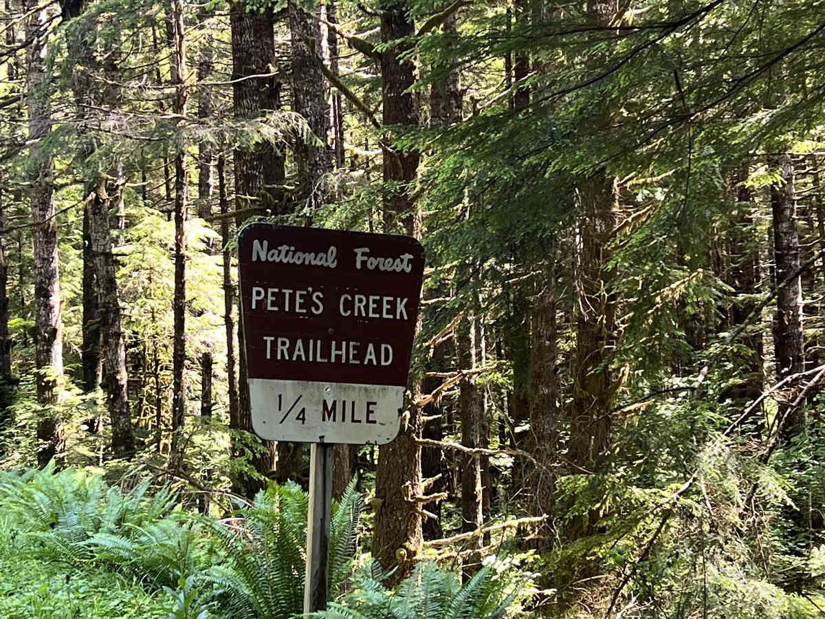 Pete's Creek Trail photo 3