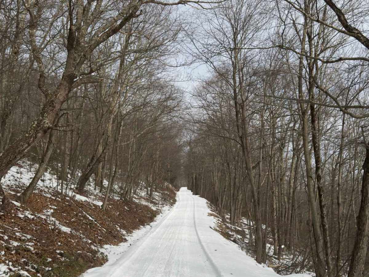 Buffalo Flat Road photo 5