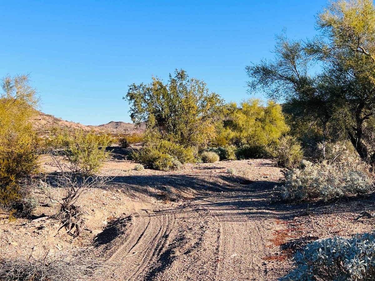 Mid-Range Access Trail trail photo