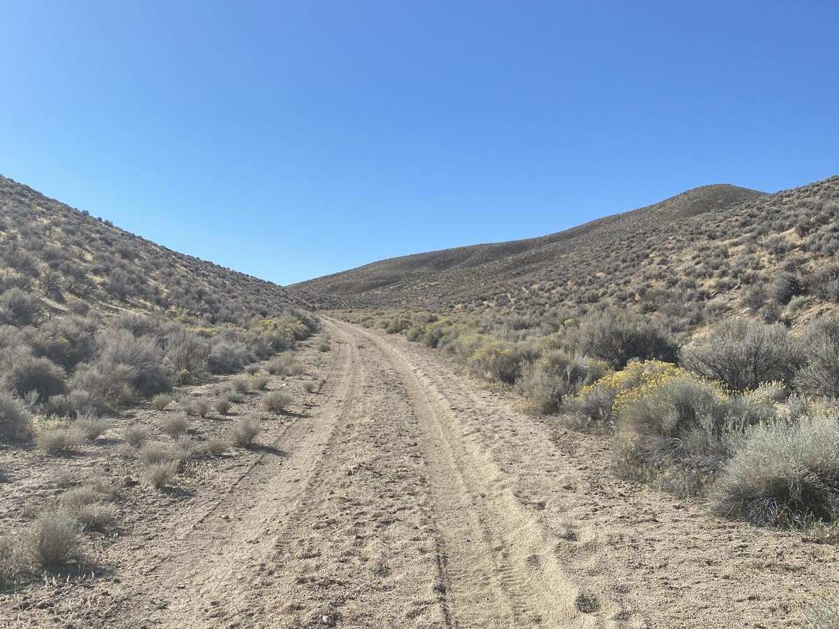 Sage Hen Wash/Sahwave Mountains photo 2