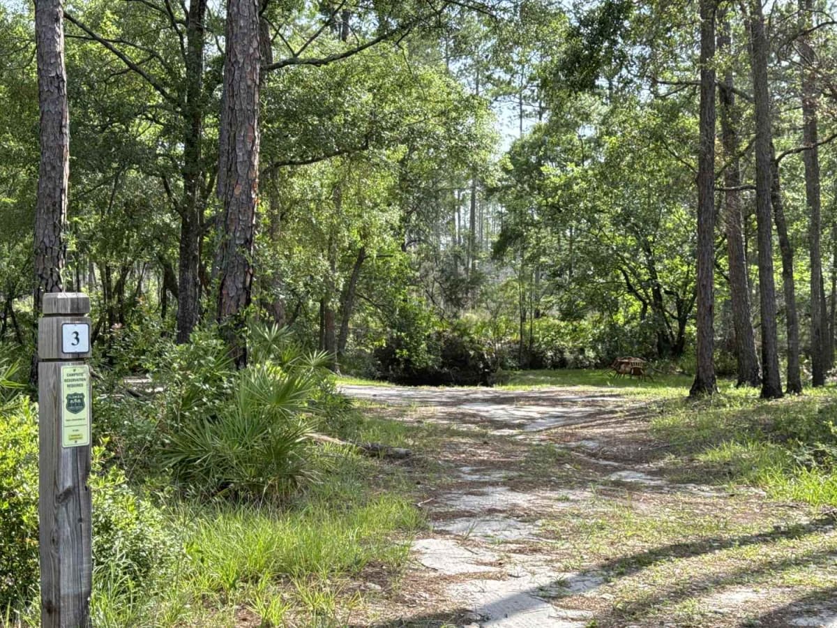 Billy's Road photo 5