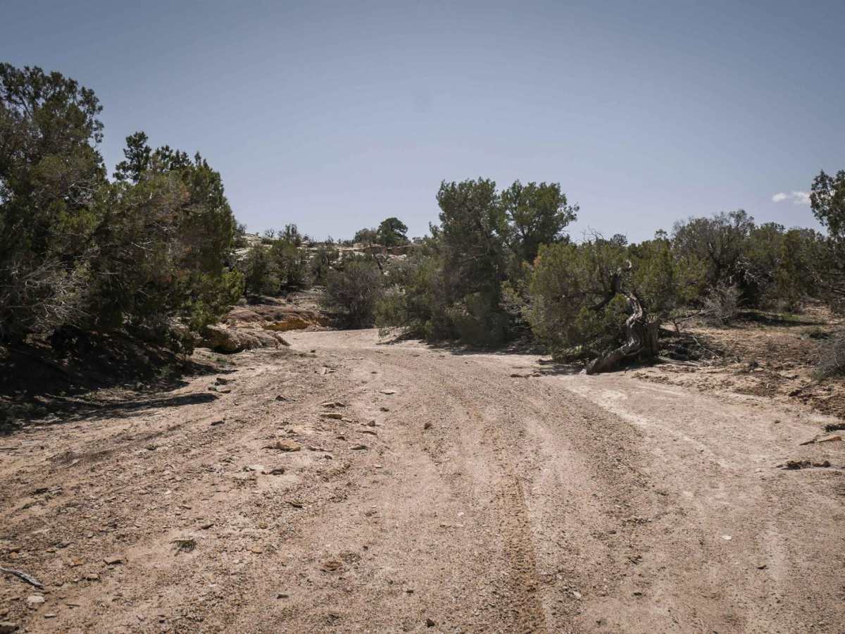 BLM Route 87 photo 4