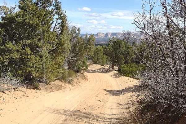 Mansard Trail North (BLM 104)