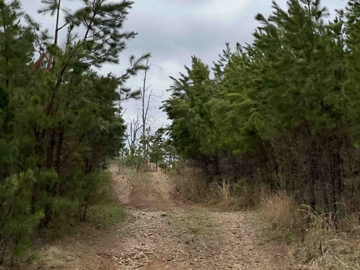 Big Bee Ridge photo 2