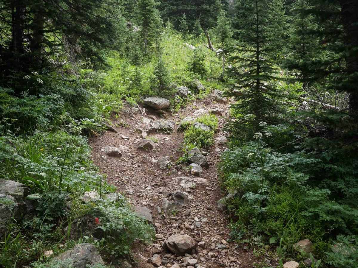 Never Summer Trail  photo 3