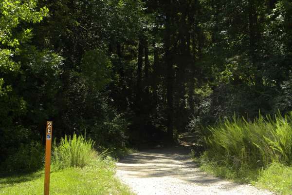 Trail 2E(intermediate)