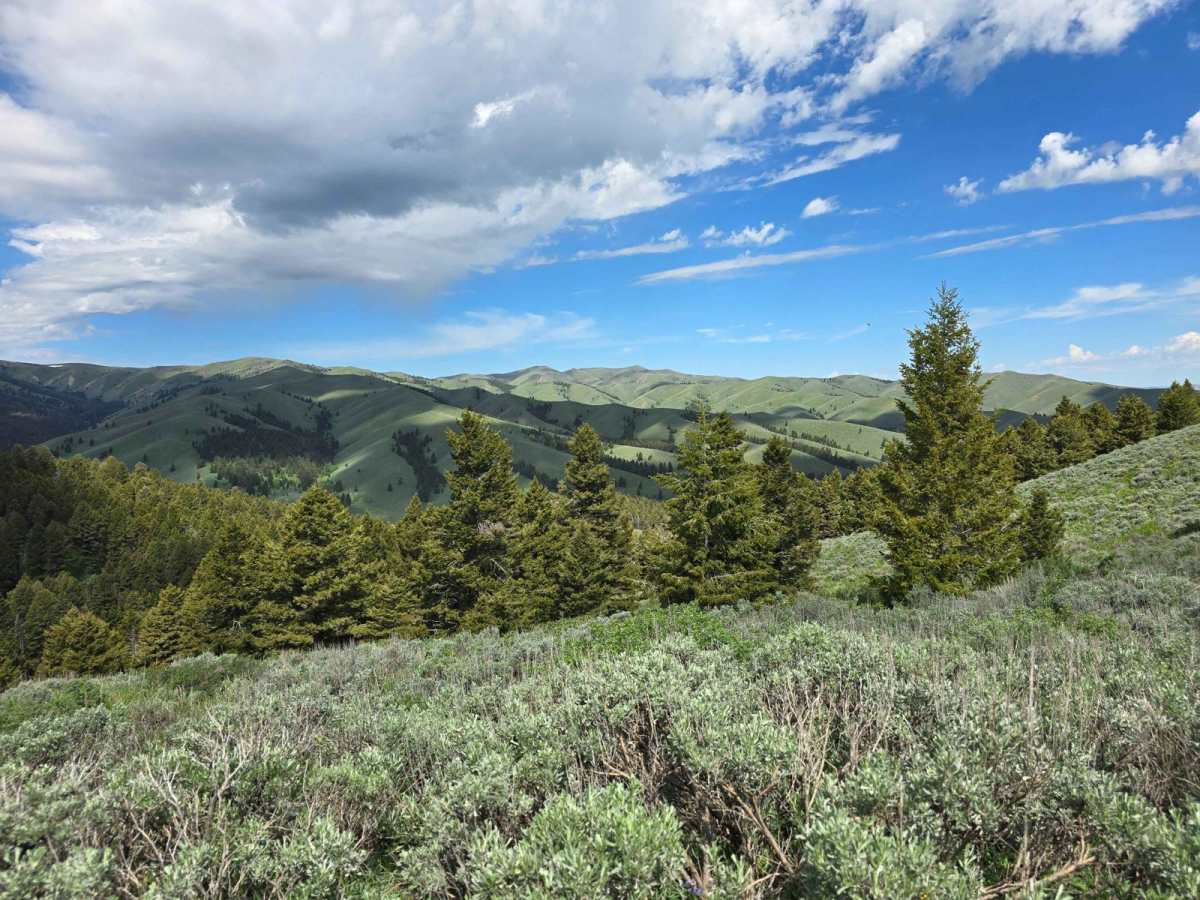 Stoddard Creek to Indian Creek Butte photo 3
