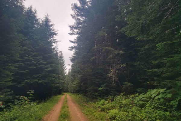 Mesatchee Creek Offroad Trail