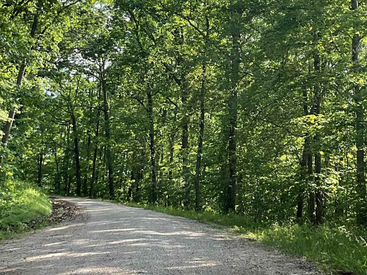 State Forest Road 2 photo 3