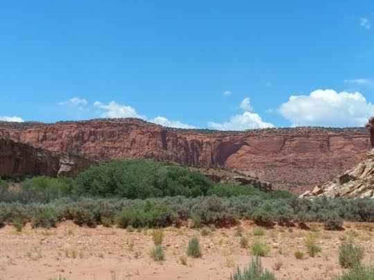 Wolverine Loop Road - 0640 photo 5