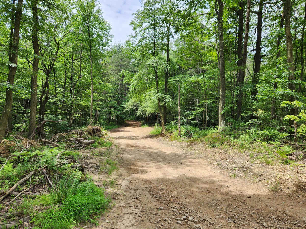 Trail 4 - Rock Run Recreation Area photo 6