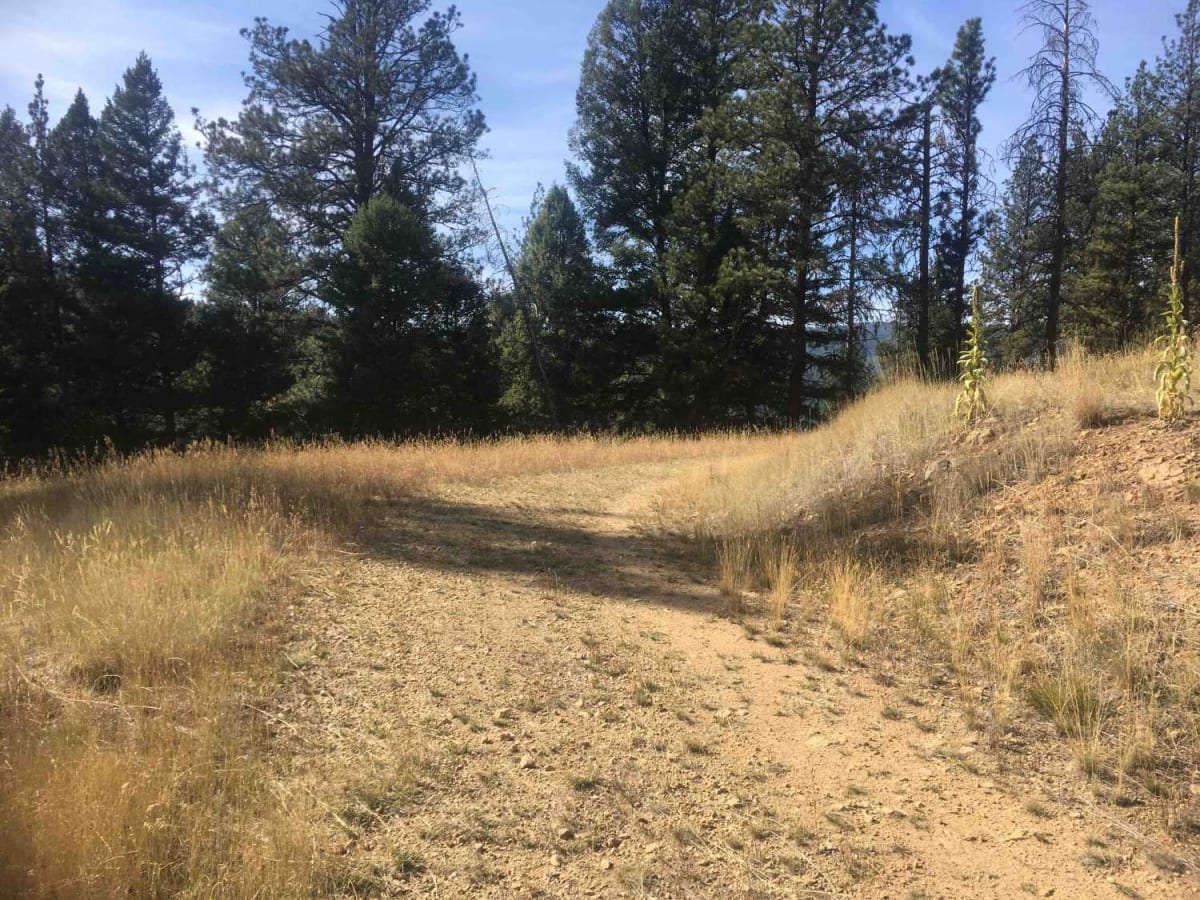 Tepee Creek- 13313 (Southern Portion) photo 4