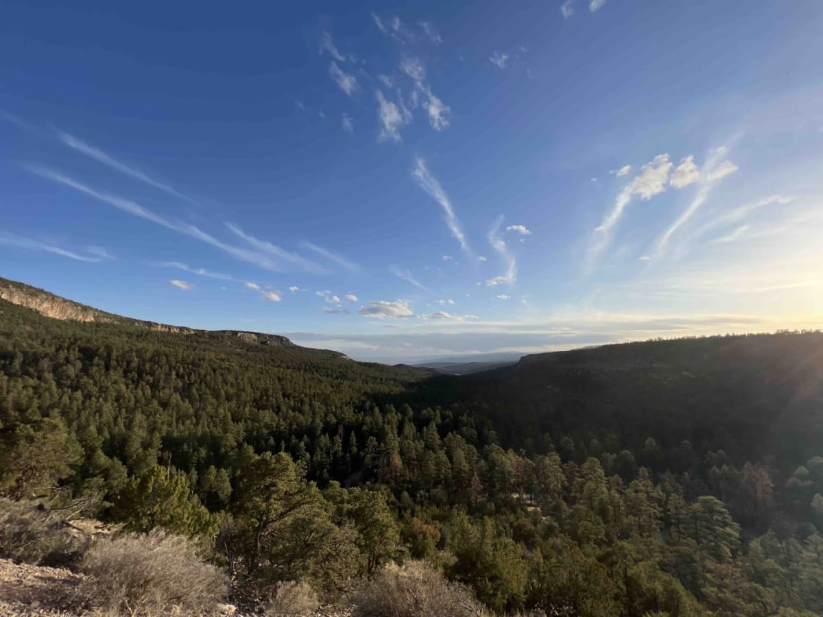 Bear Springs Road 266 photo 3