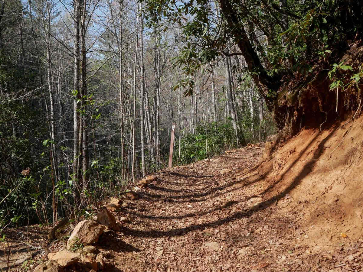 Hemlock Ridge Trail 7 photo 3