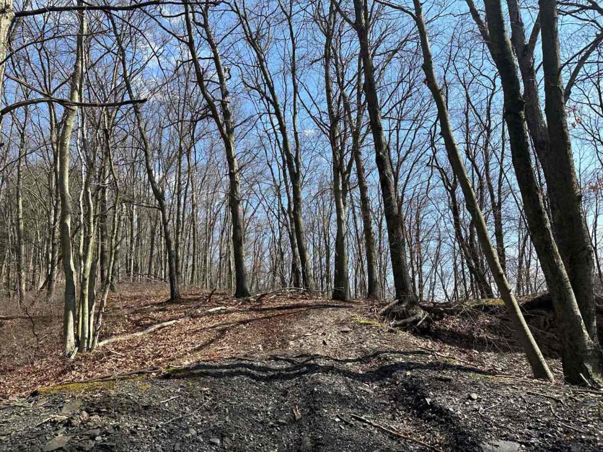 St. Keirns Single Track 6 photo 2