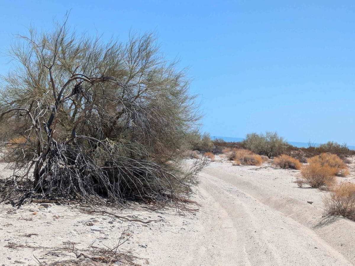 Los Cuevitas Ridge Trail photo 4