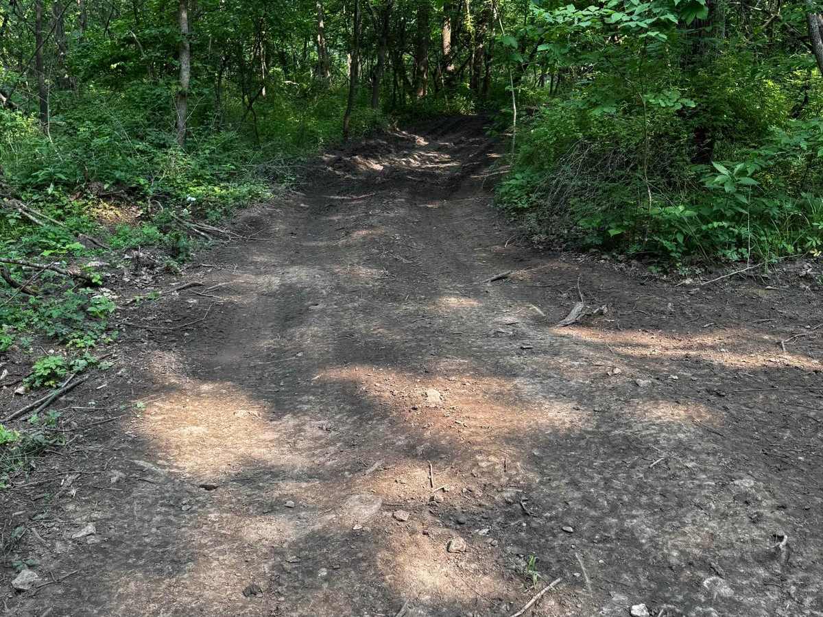 Green 132 trail photo