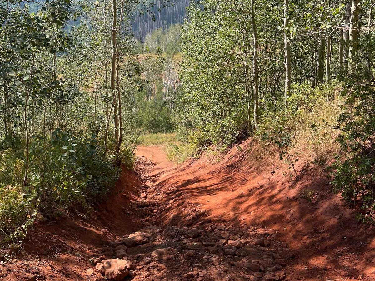 Arthur's Fork photo 2