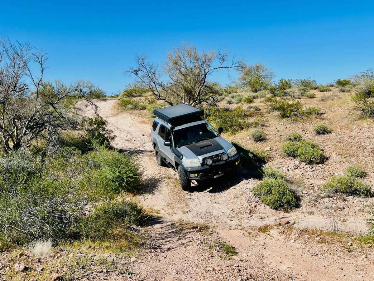 BLM 9088 photo 2