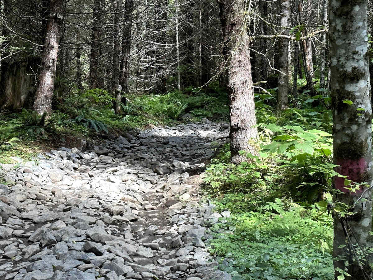 Sunrise Trail photo 2
