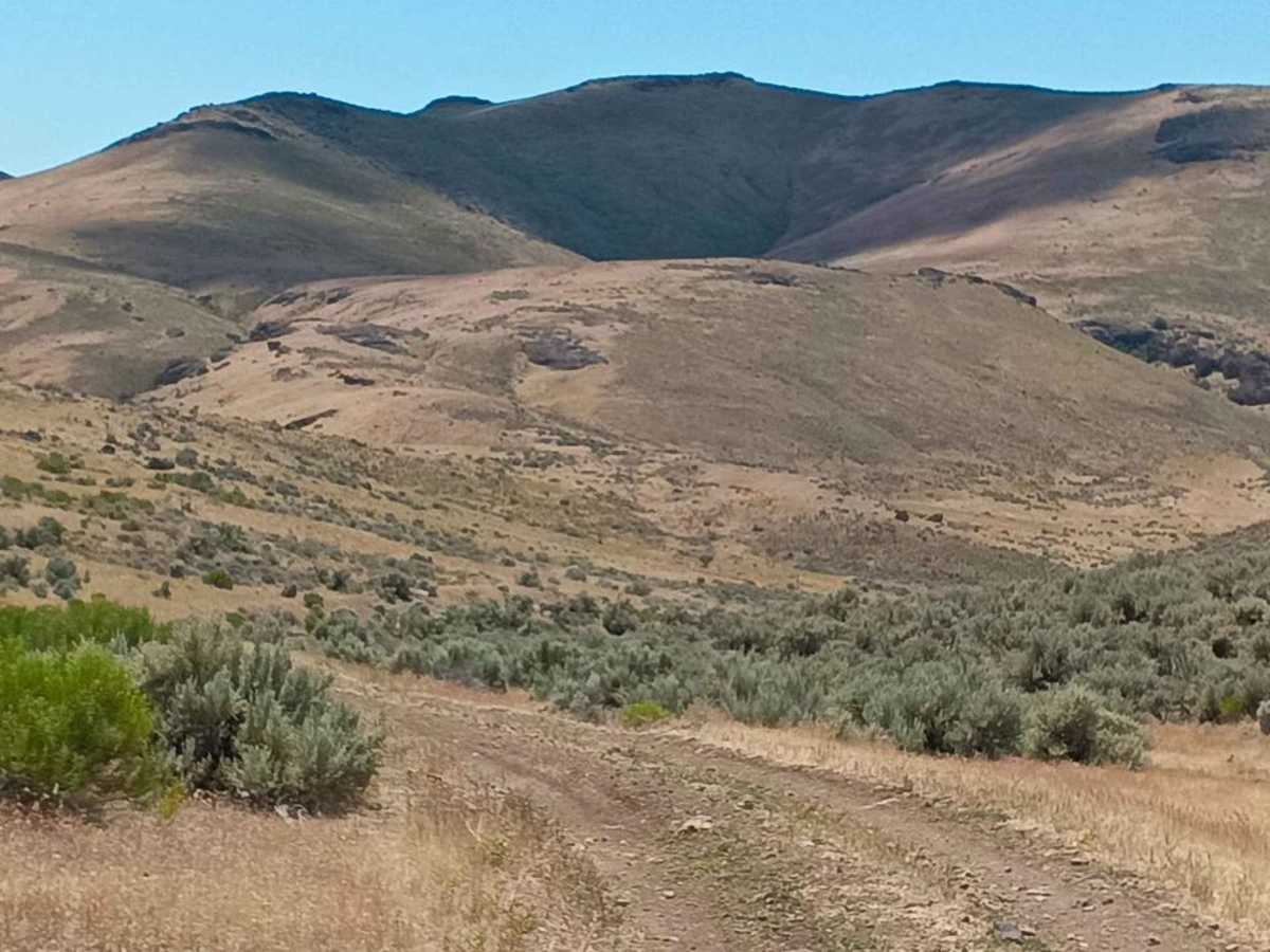 Three Fingers Loop West photo 6