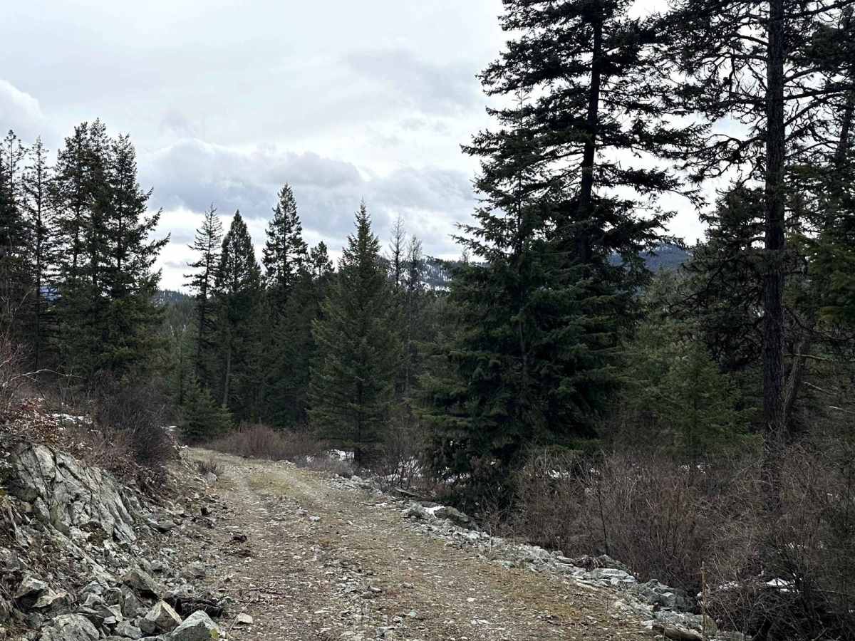 FSR 120 trail photo