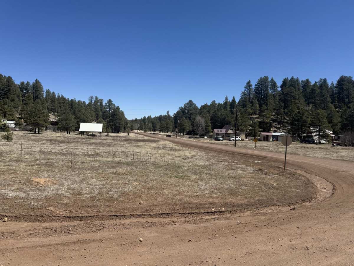 Crimson Road to FS 132 Junction photo 5