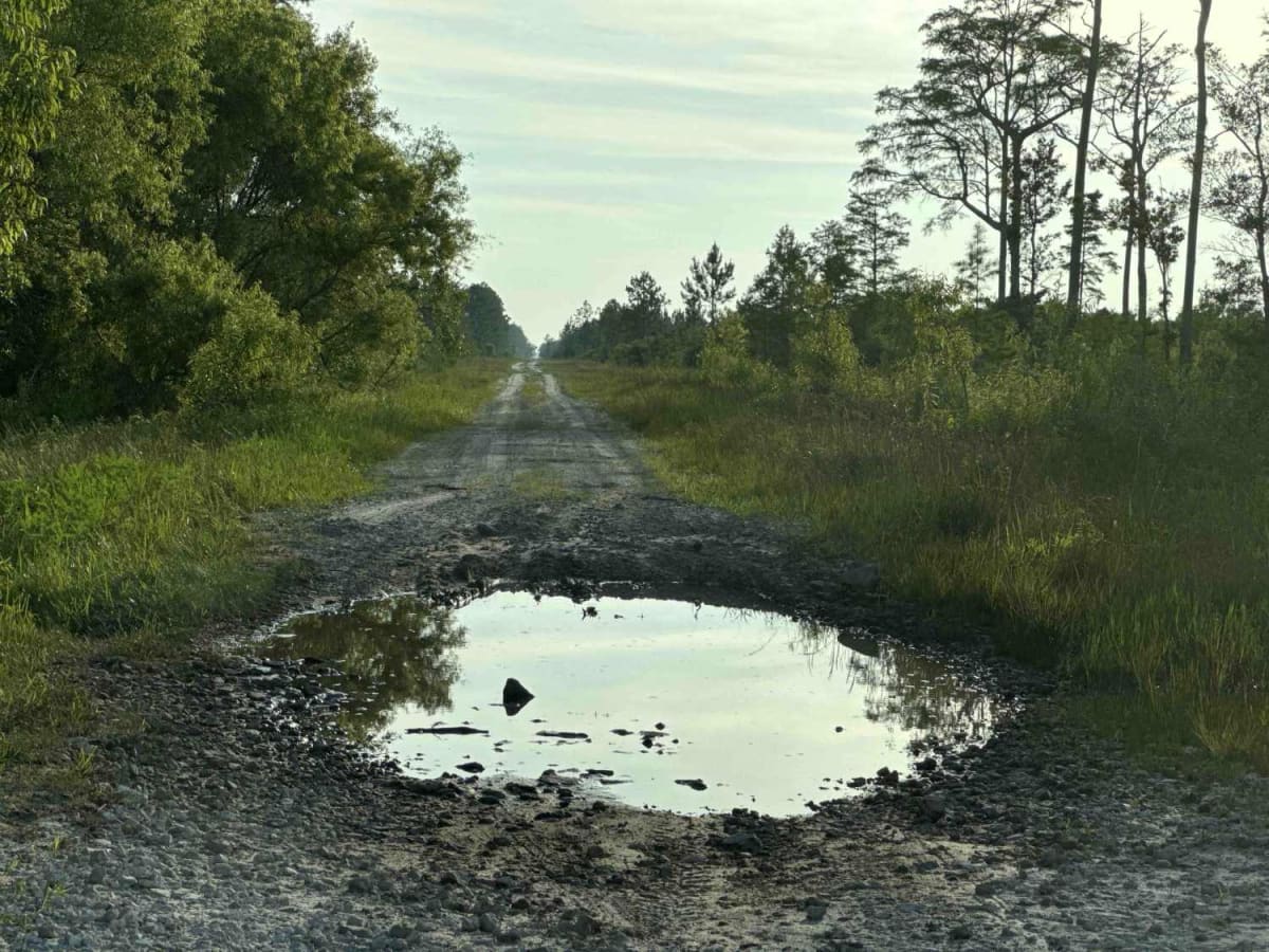 County Line Road photo 5