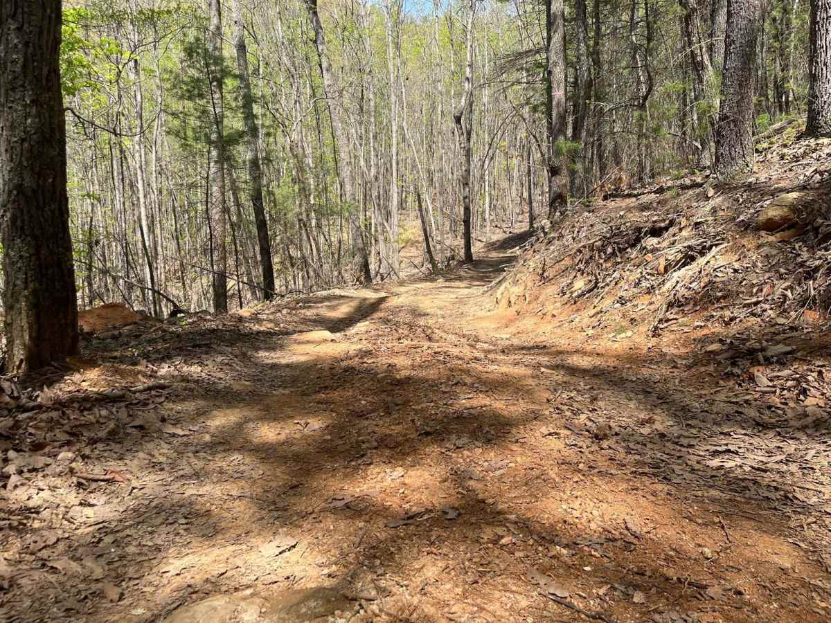 Nicholson Gap photo 3