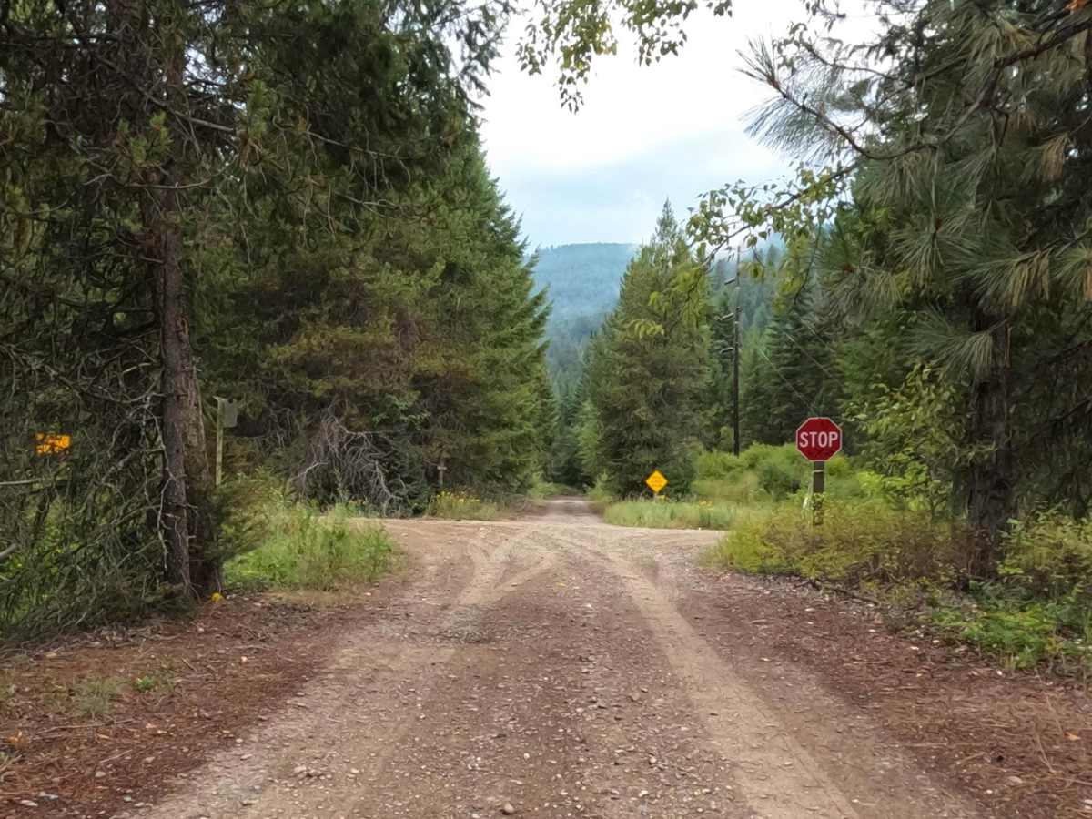 Little Joe Road trail photo