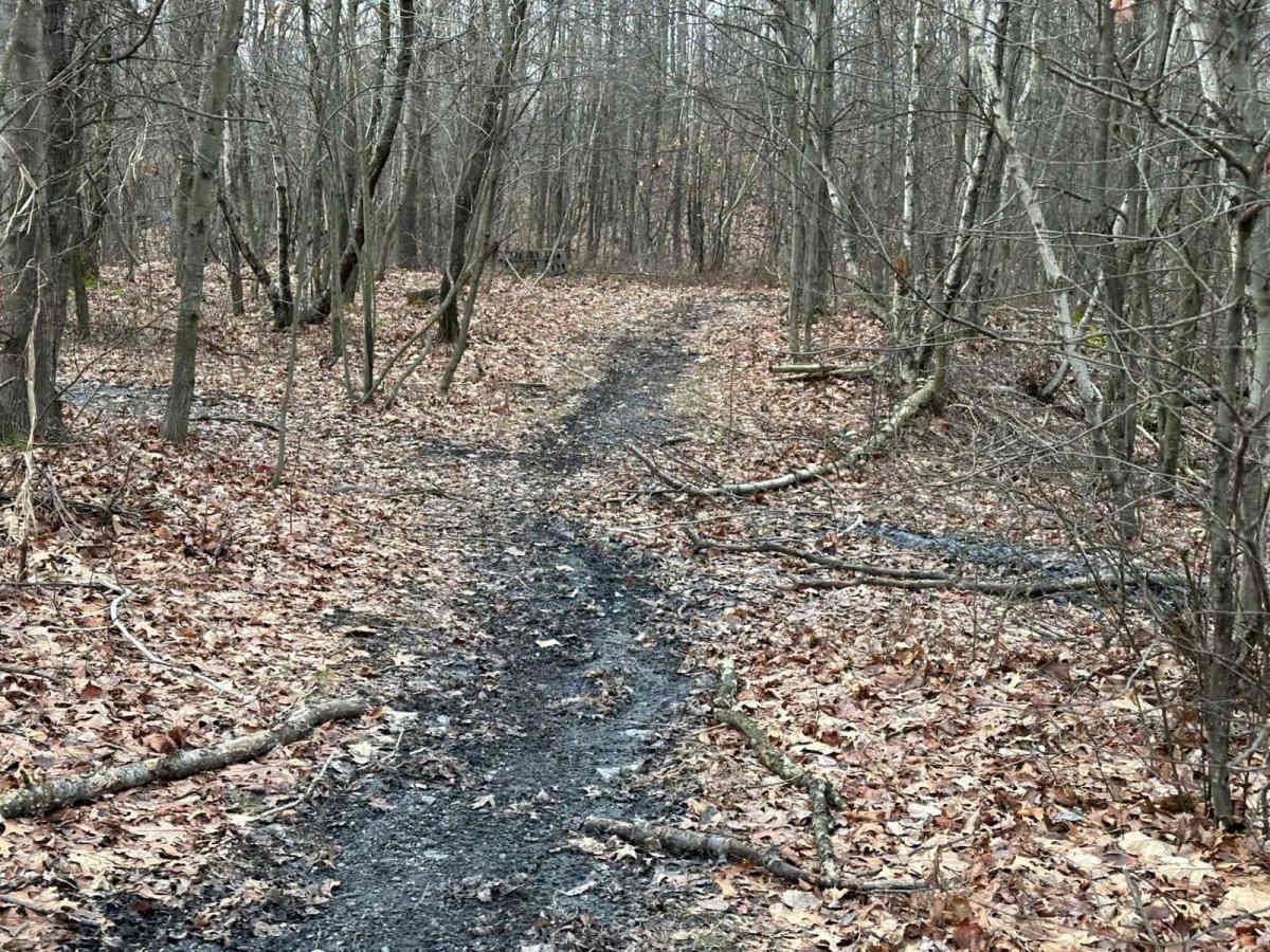 St. Keirns Single Track 8 photo 5