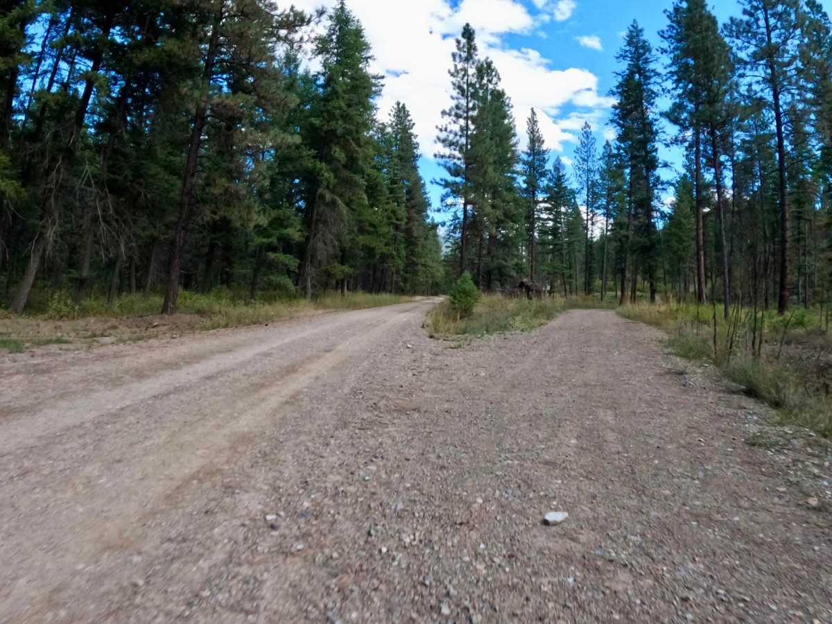 Second Creek Road-Eddy Creek Road 4 Corner photo 2